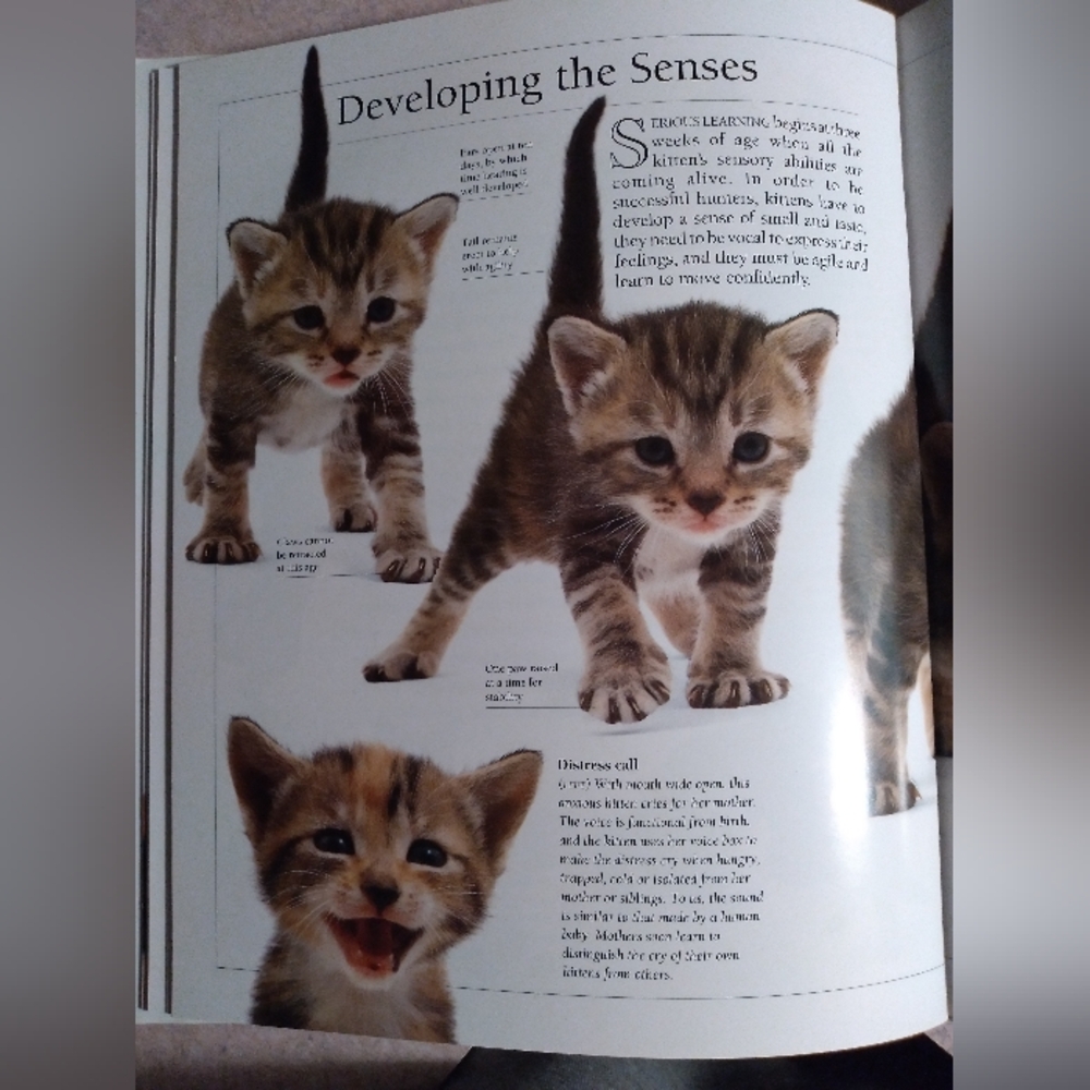 Know Your Cat Book - Picture 6 of 6